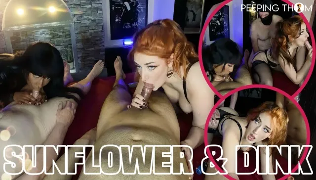 Sunflower And Dinky - Dirty Duo VR Adult Videos