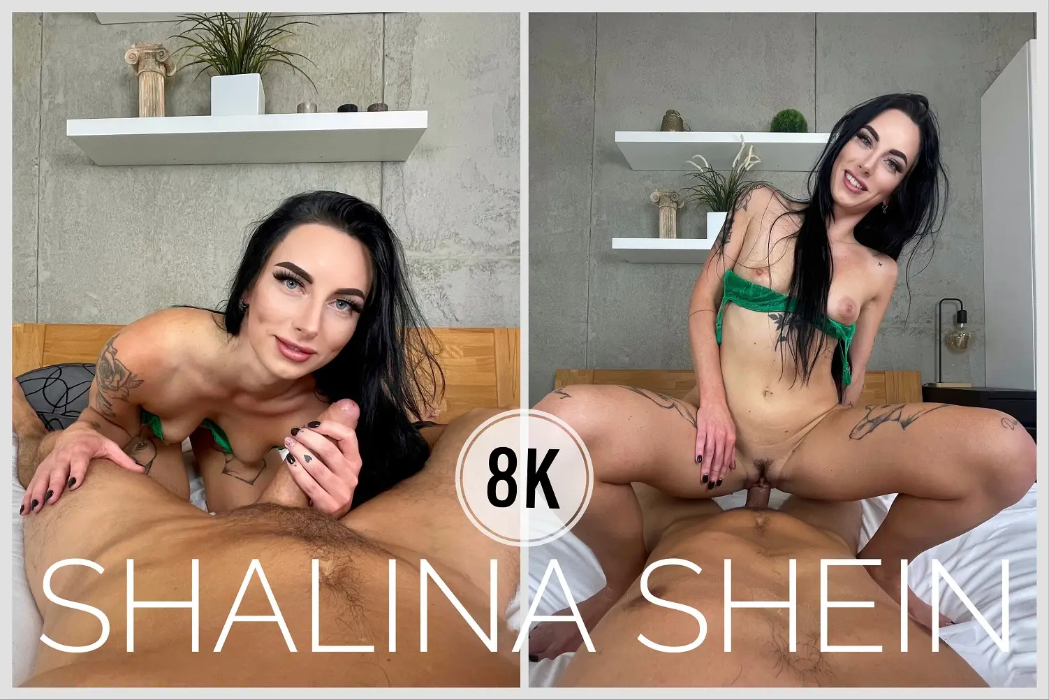 Amazing Afternoon With Shalina Shein VR Adult Videos