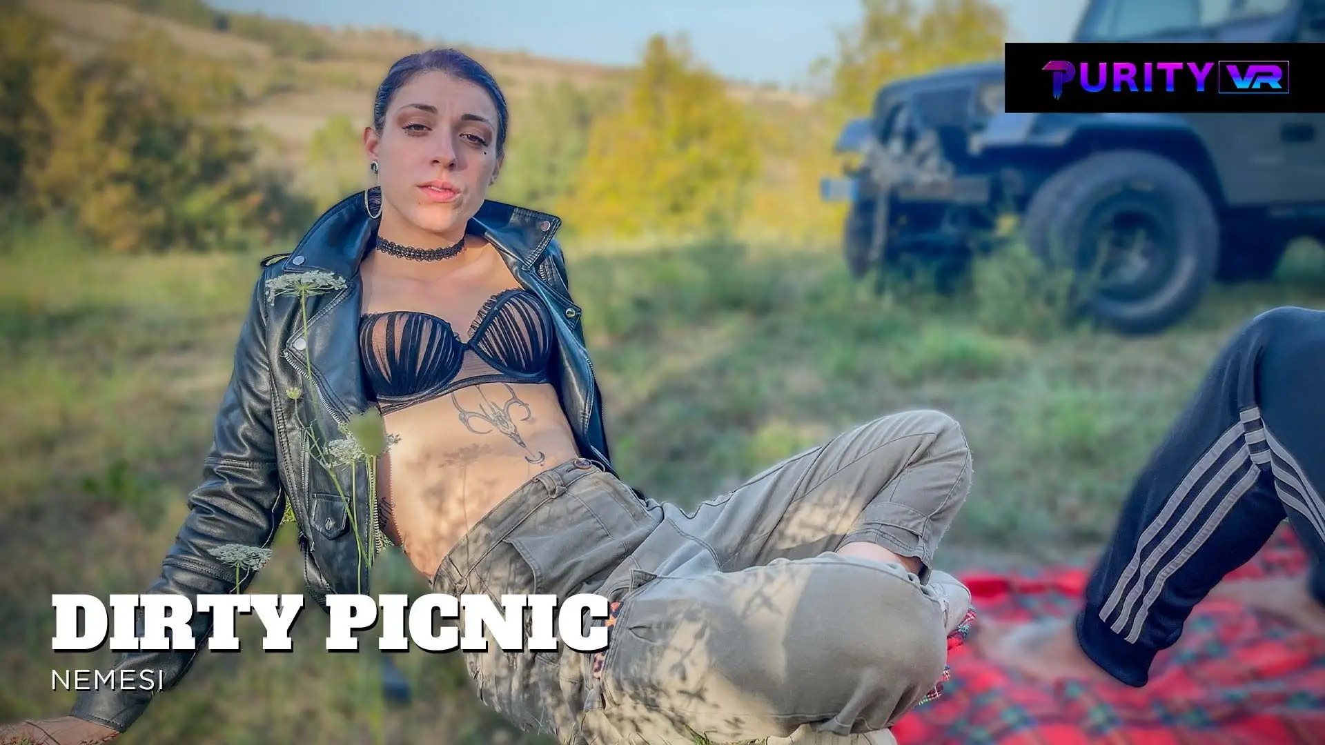 Dirty Picnic VR Adult Videos