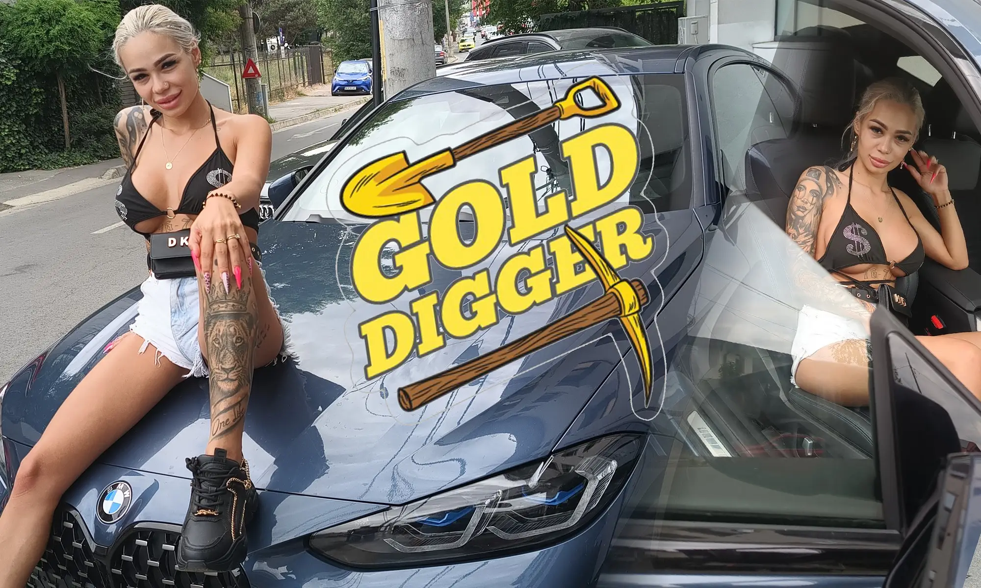 Gold Digger VR Adult Videos