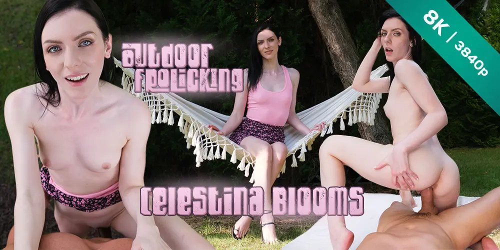 Outdoor Frolicking VR Adult Videos