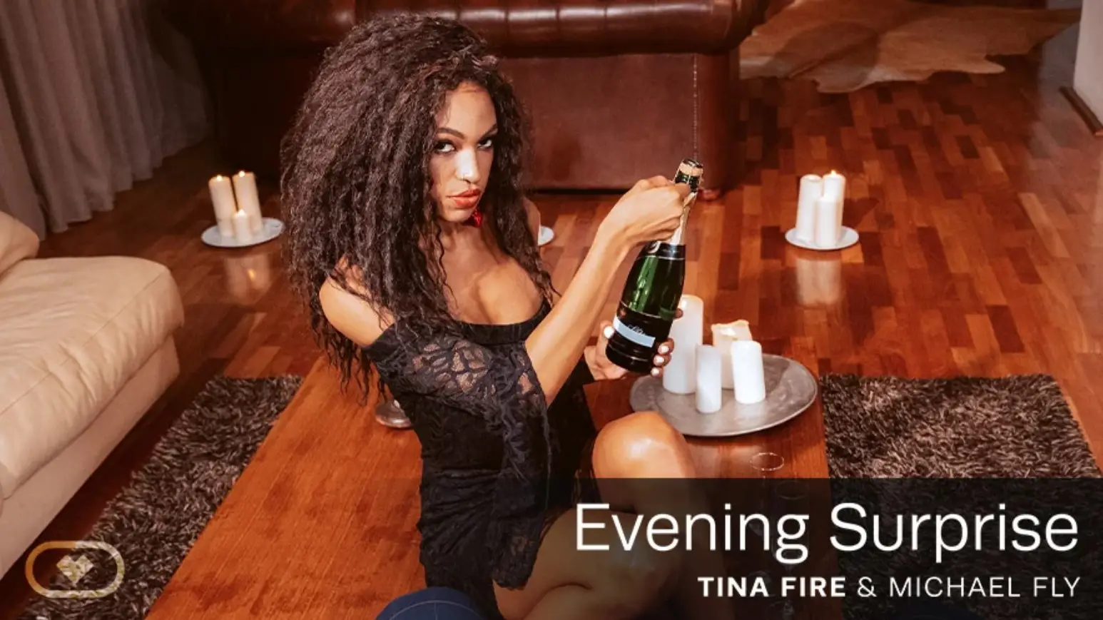 Evening Surprise VR Adult Videos