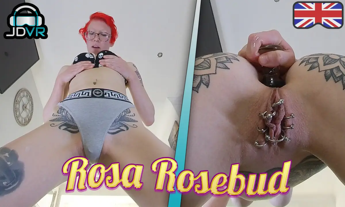 Face-Sitting With Anal Play VR Adult Videos