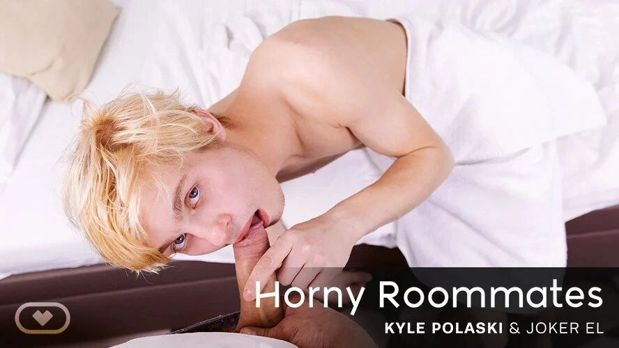 [Gay] Horny Roommates VR Adult Videos