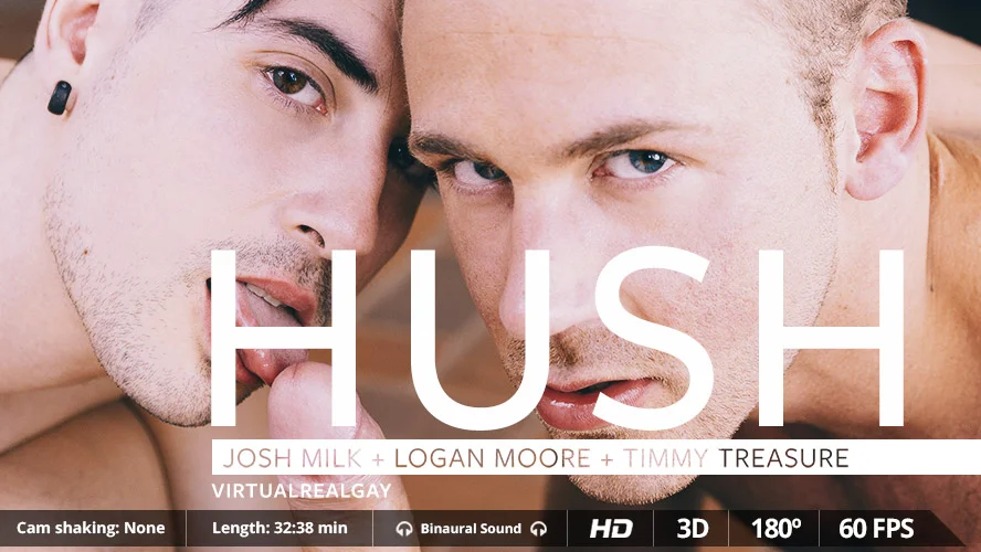 [Gay] Hush Logan Moore VR Adult Videos