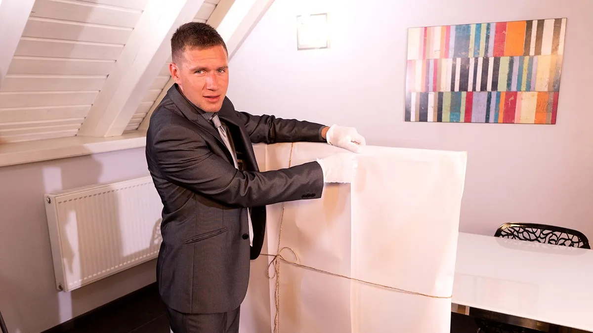 [Gay] Private Art Collector VR Adult Videos