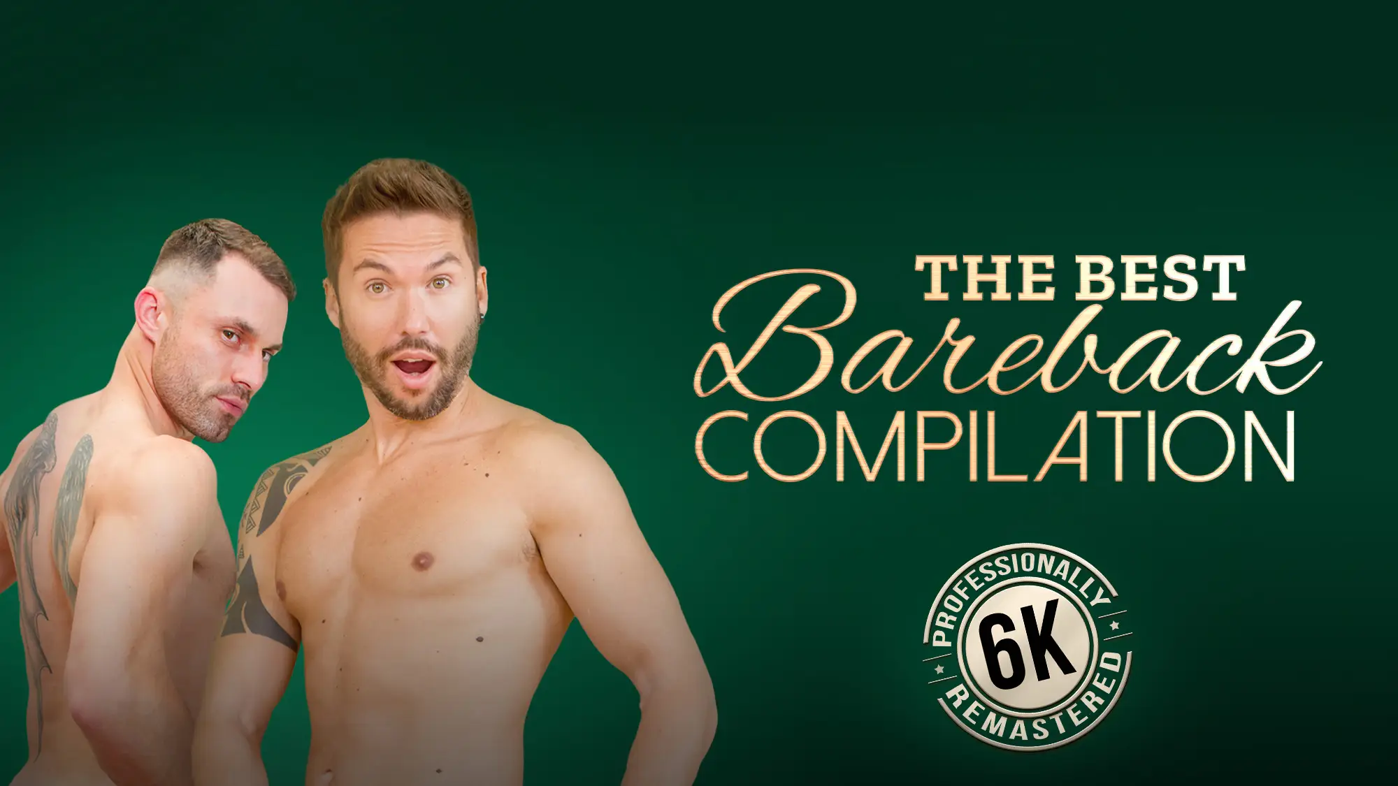 [Gay] The Best Bareback Compilation VR Adult Videos