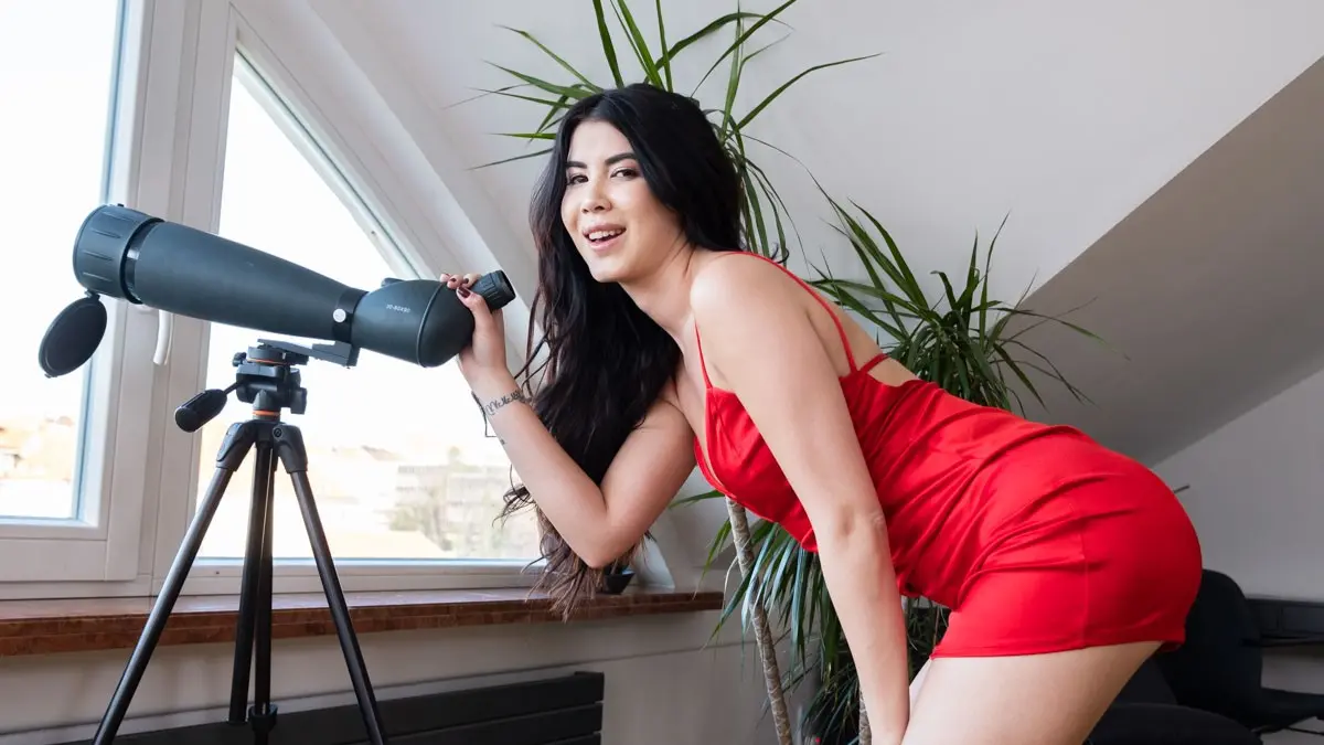 Lady in Red VR Adult Videos