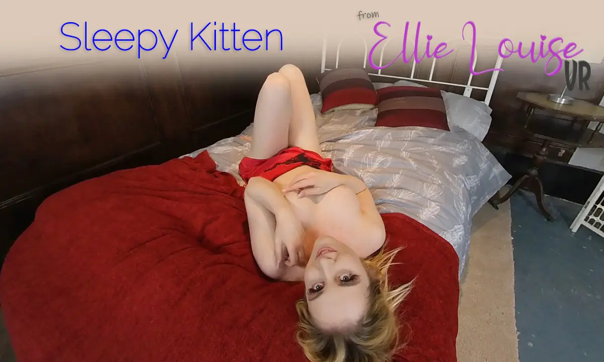 Playful Kitten VR Adult Videos