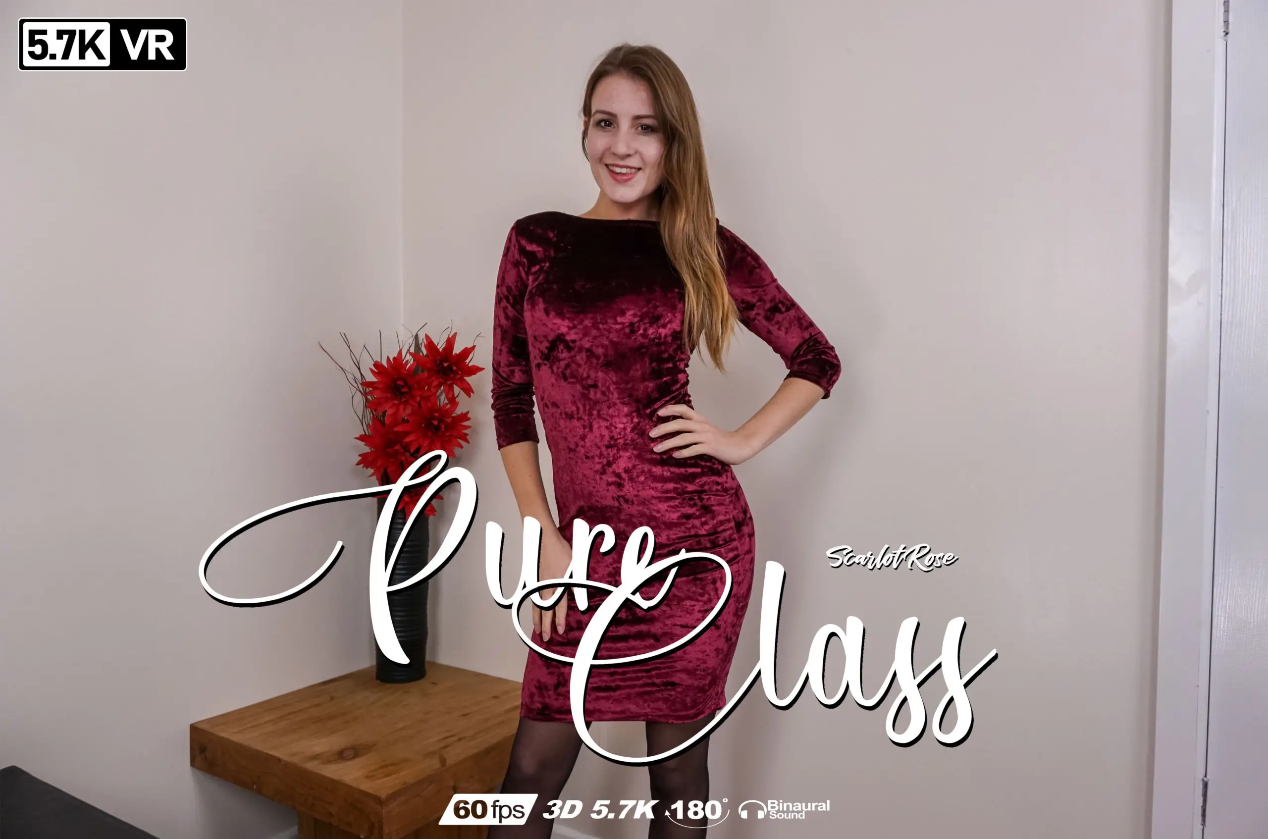Pure Class VR Adult Videos