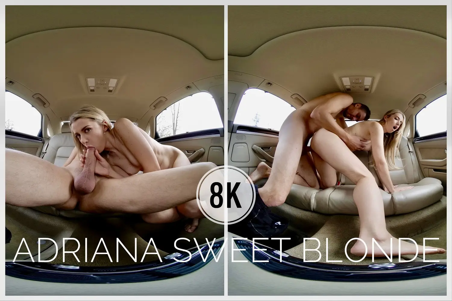 Sex With Adriana In The Car From A Different Perspective VR Adult Videos