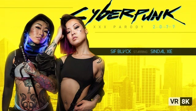 Cyberpunk 2077 Adult Fun VR Adult Videos