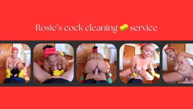 Home Cleaning Pro