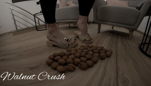 Walnut Crush Delight VR Adult Videos