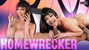Homewrecker VR Adult Videos