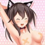VReleased VR Adult Content Studios